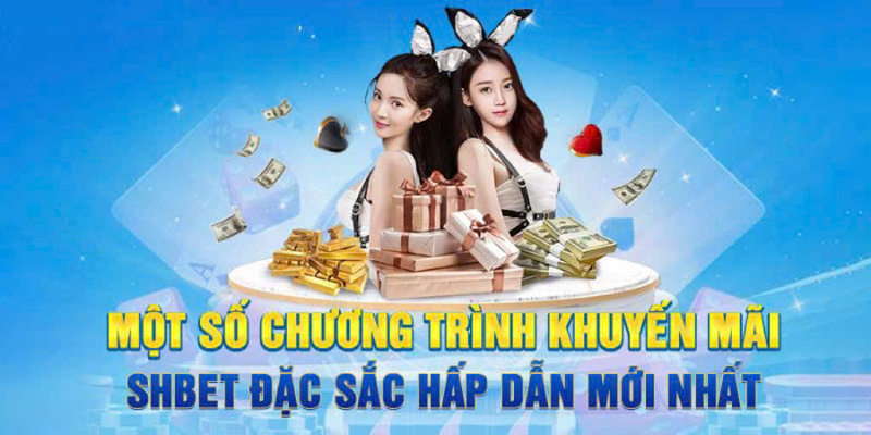 Chương trình khuyến mãi SHBET siêu hoàn tiền cho toàn bộ thành viên 